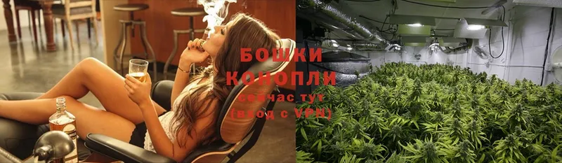 Каннабис White Widow  кракен рабочий сайт  Андреаполь 